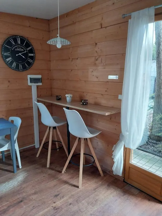 Le Petit Chalet Chanas