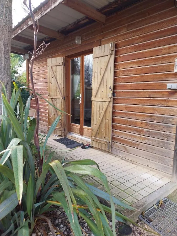 Le Petit Chalet Chanas